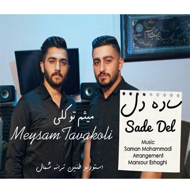 حسین پناهی ساده دل